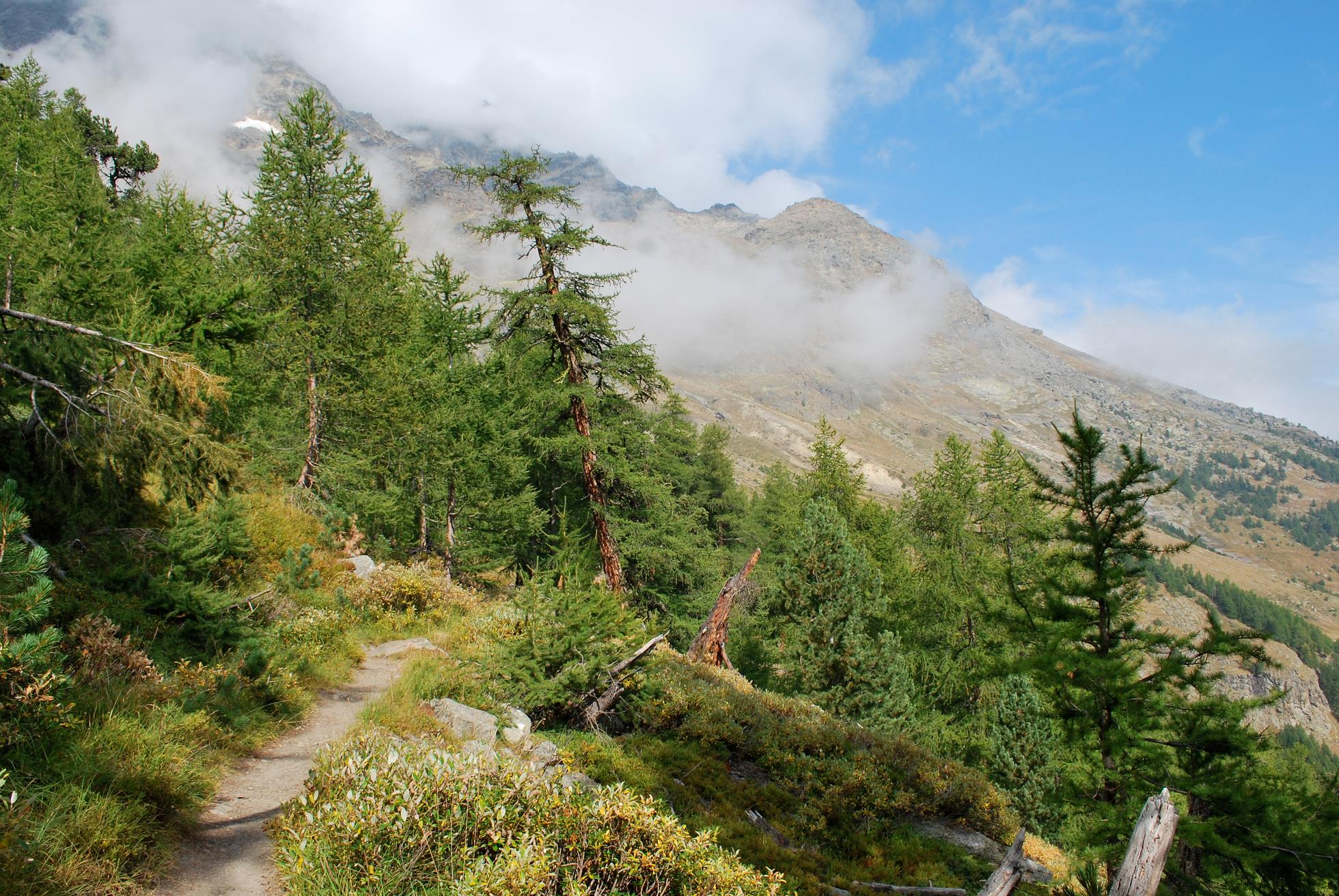 12 Saas Fee